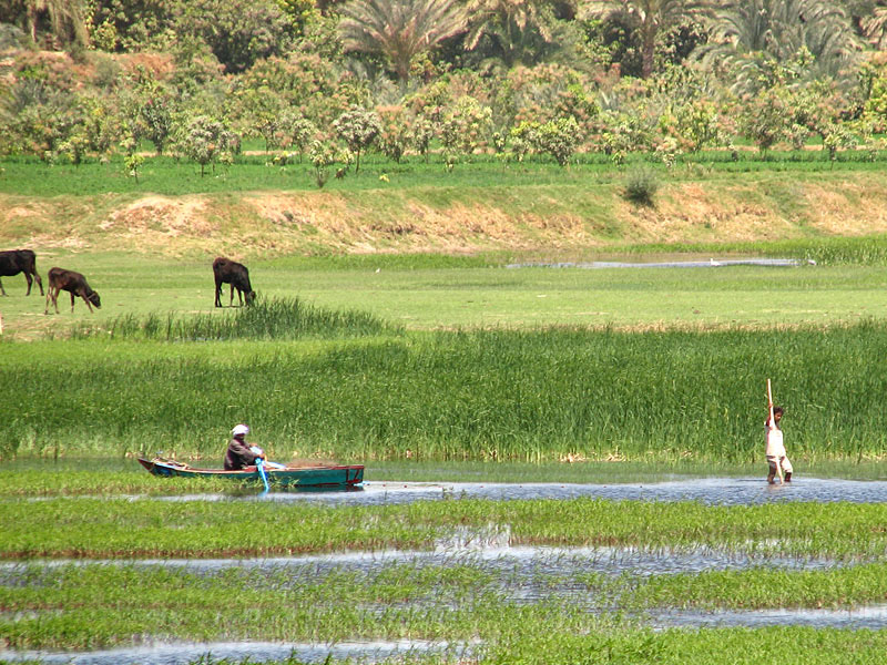 IMG_1189