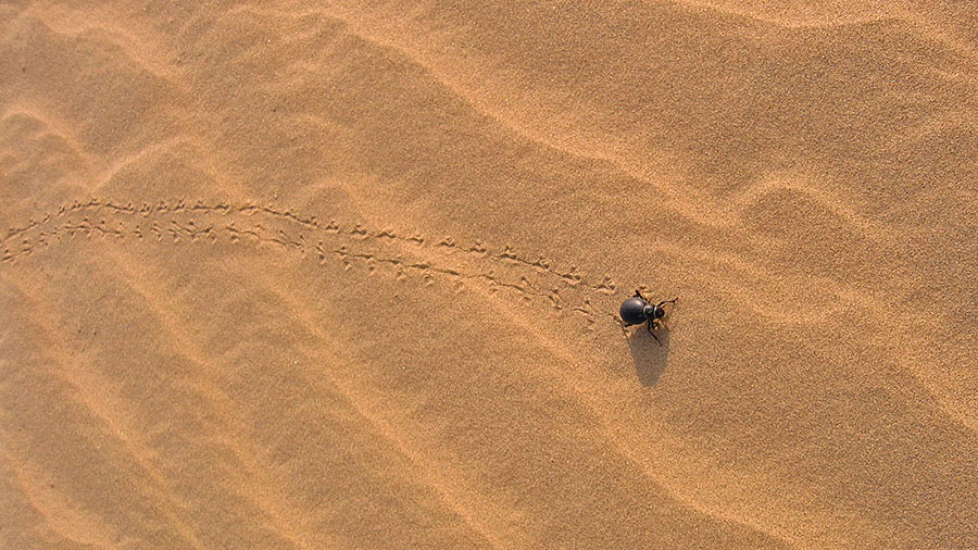 066
